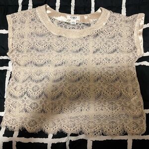 A Tan Mesh Cropped Shirt